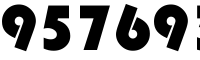 95769367 bags